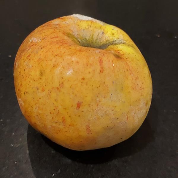 Apple: Kings Grace