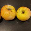 Apple: Kings Grace