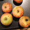Apple: Celeste