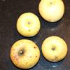 Apple: Damore