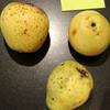 Apple: Whitfield